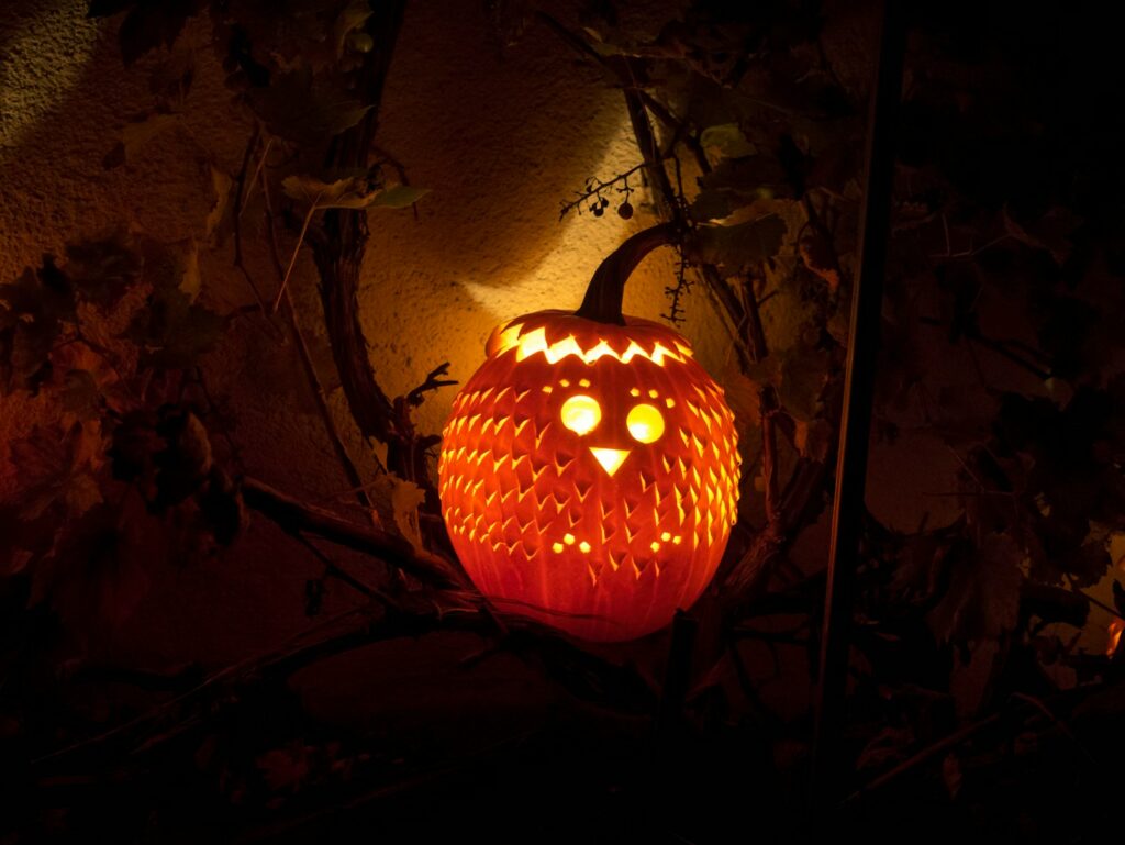 a carved pumpkin sitting on top of a tree